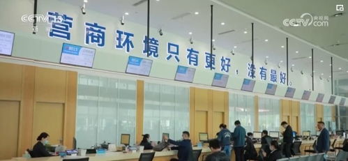 數(shù)字服務(wù)三連擊 便民暖心、助企惠企，共筑經(jīng)濟(jì)發(fā)展新引擎